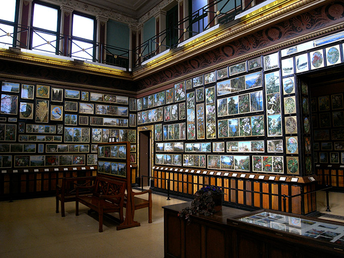 Marianne North Gallery inside