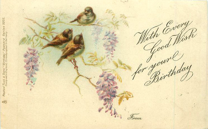 Een Edwaardiaanse verjaardagskaart met daarop drie musjes tussen blauwe regen, uitgegeven door de firma Tuck & Sons in 1904.